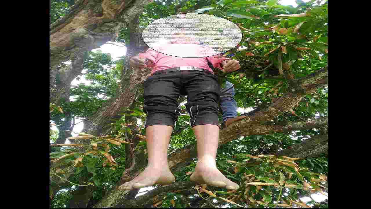 REWA : युवक ने लगाई फांसी, आम के पेड़ से लटकती मिली लाश, जांच में जुटी पुलिस