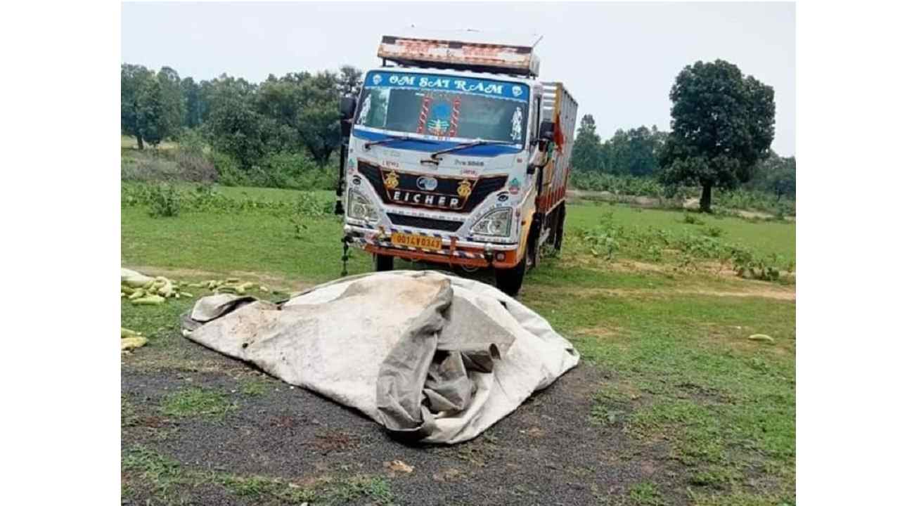 छत्तीसगढ़ के तस्करो ने ट्रक में सब्जी के नीचे छिपा रखा था 60 लाख का गांजा, मध्य प्रदेश पुलिस ने किया जब्त
