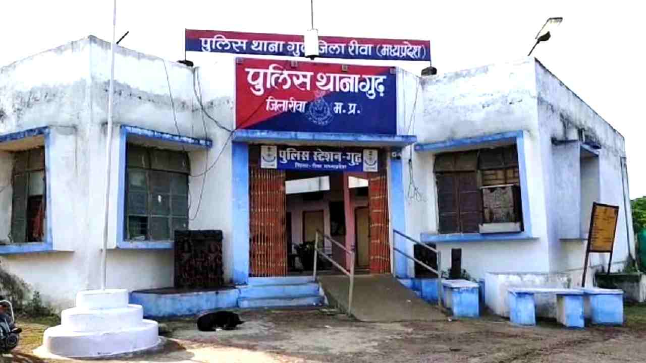 रीवा पुलिस ने घेराबंदी कर जप्त की सीधी से आ रही लाखों की शराब, एक गिरफ्तार, दो फरार रीवा पुलिस ने घेराबंदी कर जप्त की सीधी से आ रही लाखों की शराब, एक गिरफ्तार, दो फरार