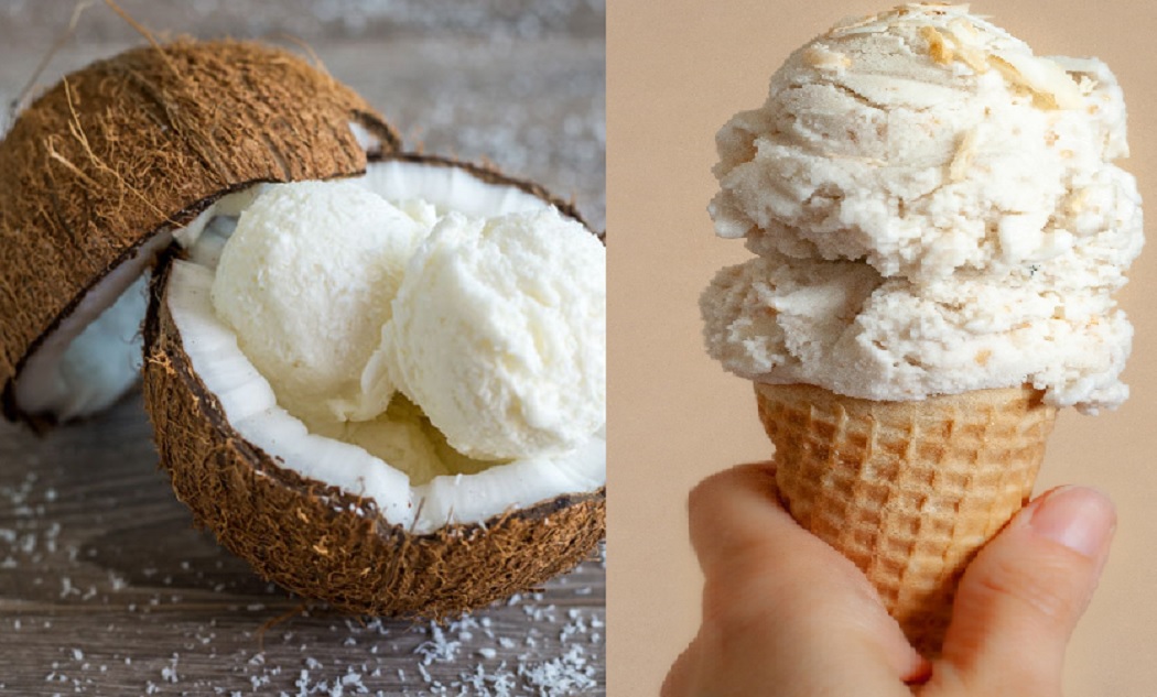 Coconut Ice Cream : घर में तैयार करना चाहते कोकोनट आईसक्रीम, तो यह है आसान विधि