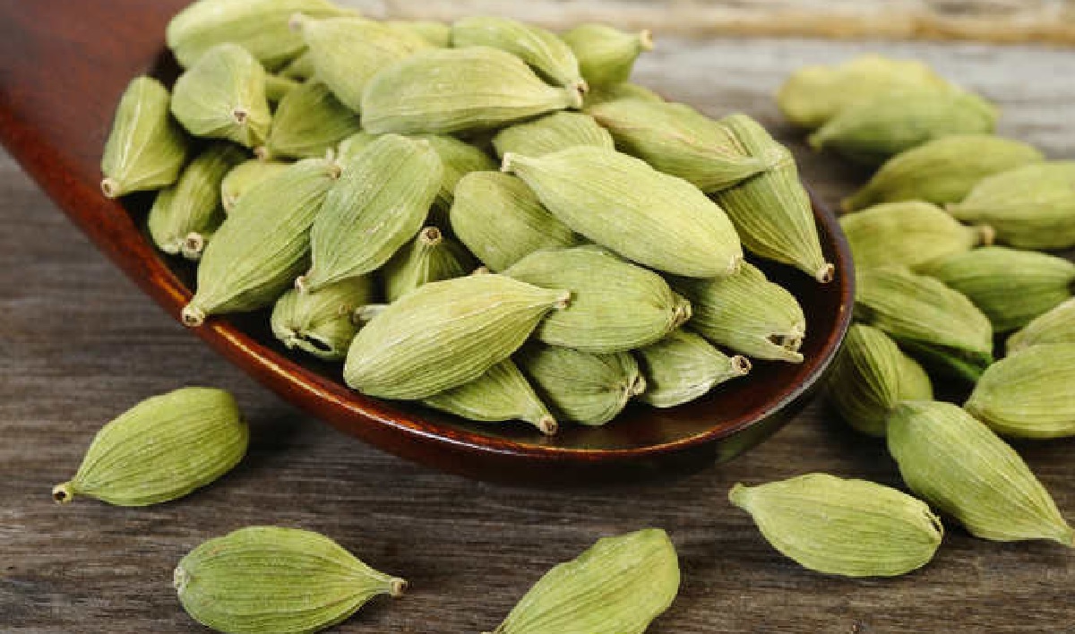 Health Benefits Of Green Elaichi : पेट गैस, एसिडिटी सहित इन गंभीर बीमारियों के लिए बेहद फायदेमंद हैं इलायची, जानिए इसके गुण