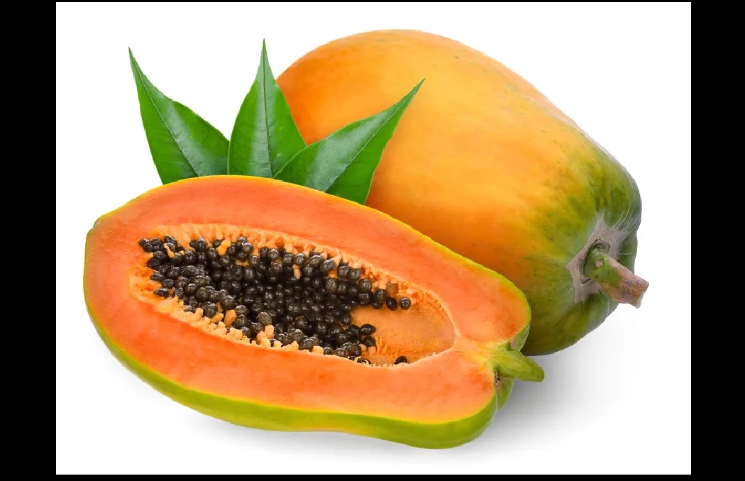 Health Benefits of Eating papaya seeds : पपीता सेहत के लिए किसी वरदान से कम नहीं, वेट लाॅस सहित इन चीजों के लिए फायदेमंद