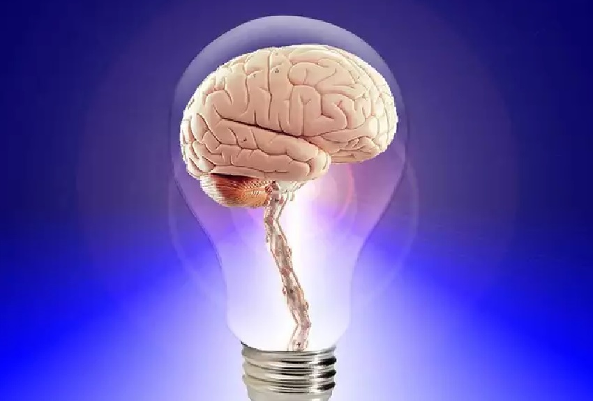 Health Benefits Of Drinking Beer : स्किन पर ग्लो लाने के साथ ही मेमोरी पावर बढ़ाने में काफी कारगर है बियर, जाने इसे पीने के बेहतरीन फायदे