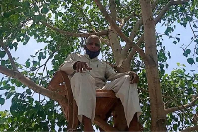 Oxygen Level मेंटेन करने 67 वर्षीय दादाजी ने जमाया पीपल के पेड़ पर डेरा, हो रहे Viral