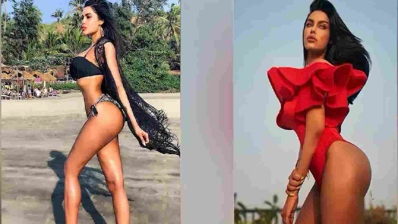 Kim Kardashian से तुलना होती है इस बॉलीवुड एक्ट्रेस की, कपडे उतारने में नहीं करती परहेज Kim Kardashian से तुलना होती है इस बॉलीवुड एक्ट्रेस की, कपडे उतारने में नहीं करती परहेज