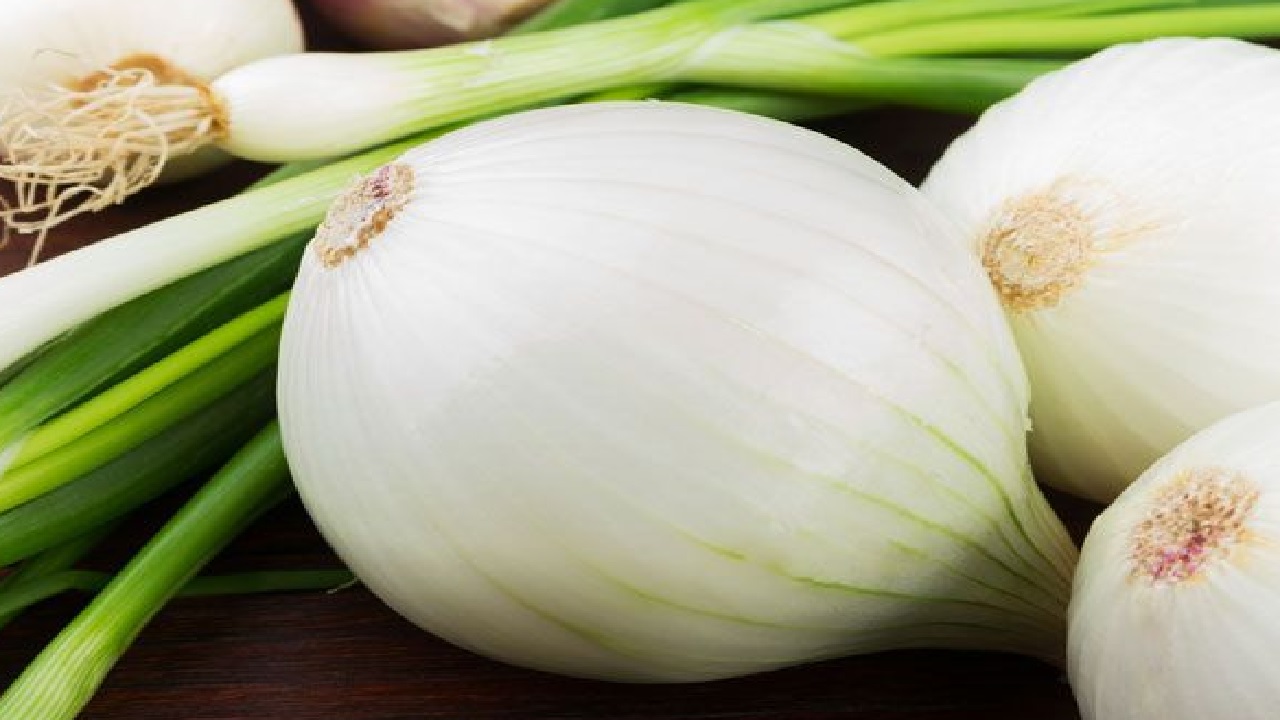 White Onion Benefits : इन रोगों को दूर भगाने में रामबाण है सफेद प्याज, जानिए इसके सेवन से क्या-क्या होते हैं फायदें
