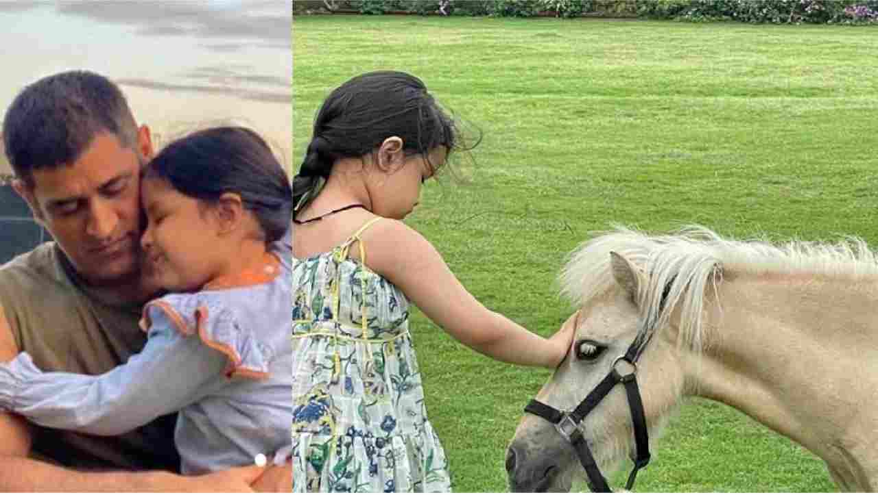 Mahendra Singh Dhoni ने खरीदा सबसे महंगे नस्ल का घोड़ा, Scotland से पहुंचा Ranchi Mahendra Singh Dhoni ने खरीदा सबसे महंगे नस्ल का घोड़ा, Scotland से पहुंचा Ranchi