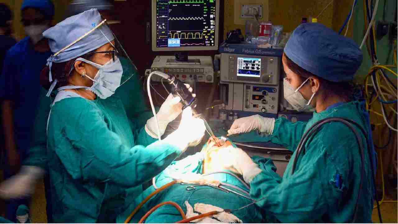 Rewa में Black Fungus ने फिर ली 2 जान, आखिर कब बंद होगा मौतों का सिलसिला Rewa में Black Fungus ने फिर ली 2 जान, आखिर कब बंद होगा मौतों का सिलसिला