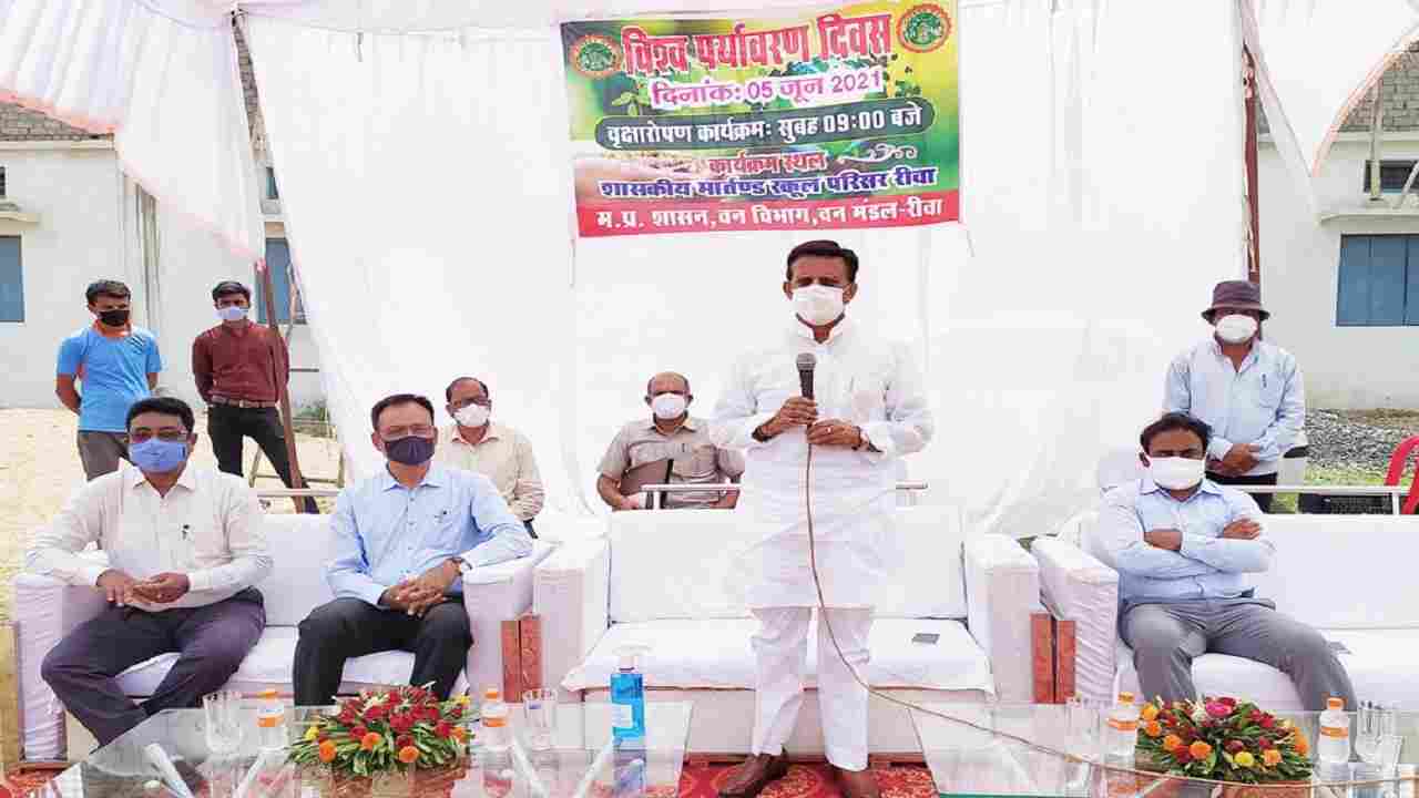 Rewa News : Former Minister And MLA Rajendra Shukla ने कहा धरती का श्रृंगार है वृक्ष Rewa News : Former Minister And MLA Rajendra Shukla ने कहा धरती का श्रृंगार है वृक्ष