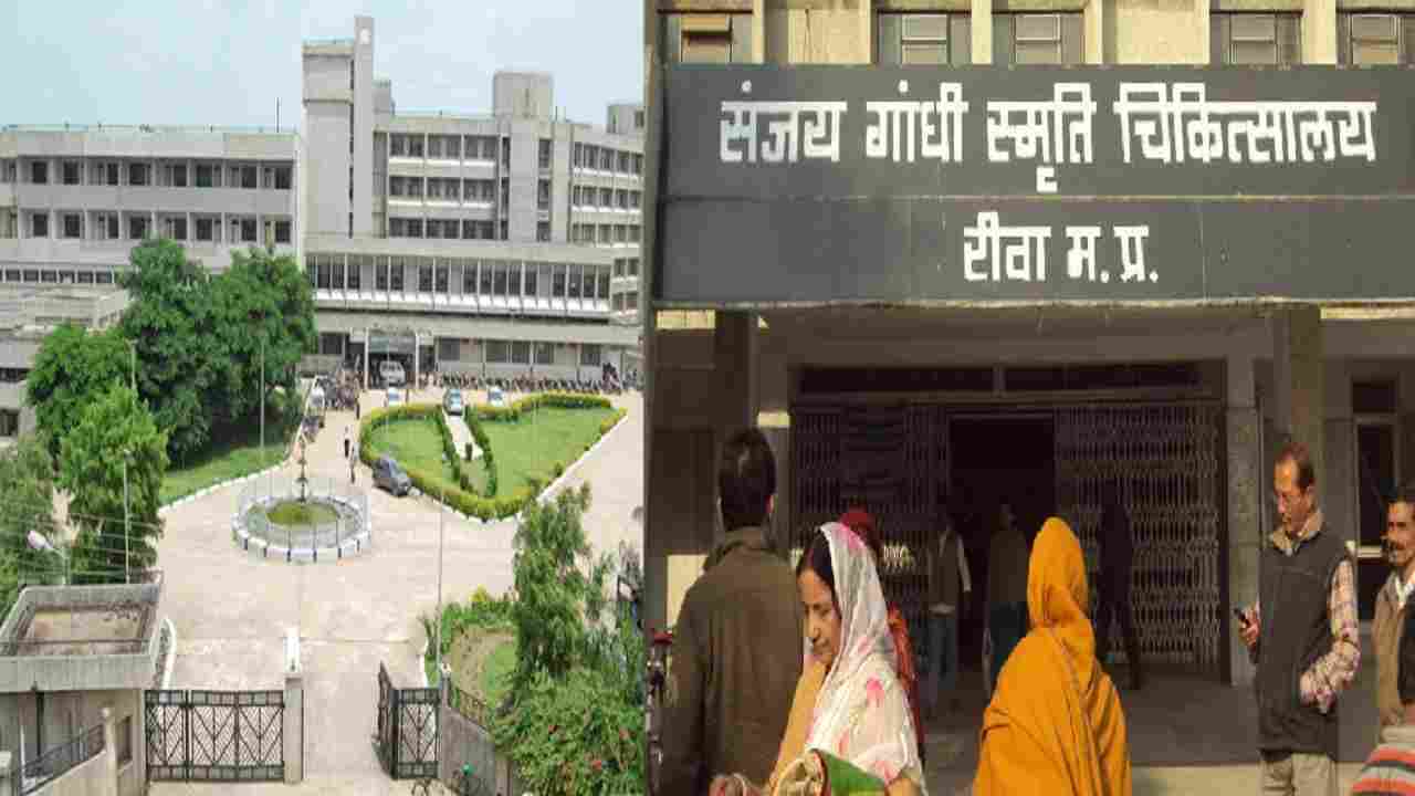 रीवा में ब्लैक फंगस हुआ खतरनाक, महिला का ब्रेन कर दिया डेड फिर कुछ देर में हो गई मौत रीवा में ब्लैक फंगस हुआ खतरनाक, महिला का ब्रेन कर दिया डेड फिर कुछ देर में हो गई मौत