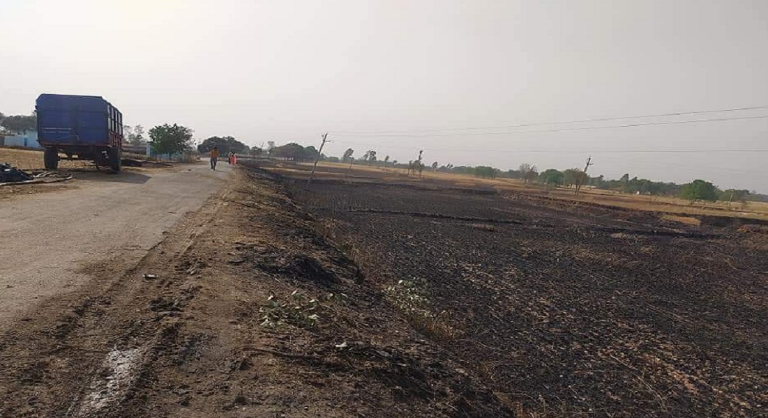 विद्युत शार्ट-सर्किट ने 100 एकड़ की फसल कर दी स्वाहा : REWA NEWS विद्युत शार्ट-सर्किट ने 100 एकड़ की फसल कर दी स्वाहा : REWA NEWS