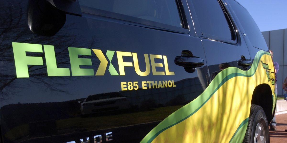 flex-fuel इंजन पर सरकार करेगी बड़ा ऐलान! अब पेट्रोल-डीजल नहीं इस ईंधन पर दौड़गे वाहन