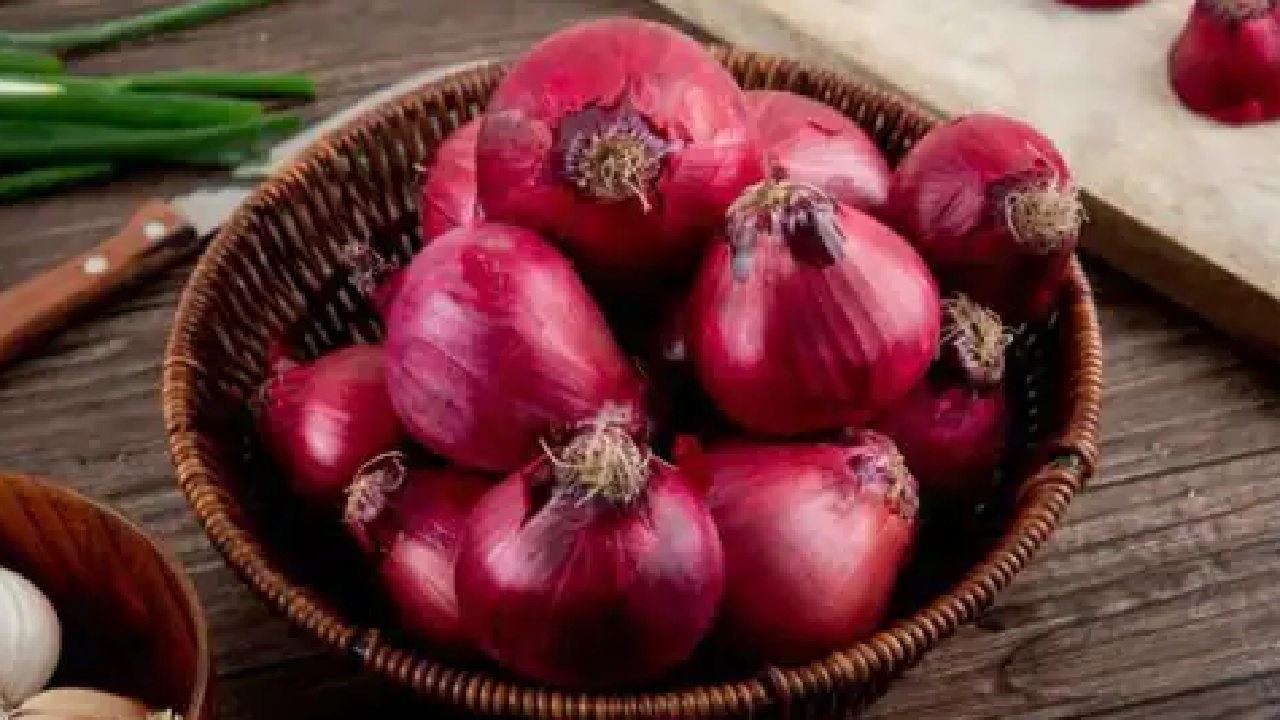 Onion Benefits : पौष्टिक तत्वों से भरपूर है प्याज, इम्युनिटी बढ़ाने के साथ ही सेवन से मिलते है यह पांच लाभ