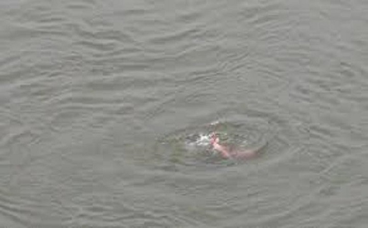 Bhopal: भाई ने नहीं दिलवाया मोबाइल तो, बहन कूद गई तालाब में Bhopal: भाई ने नहीं दिलवाया मोबाइल तो, बहन कूद गई तालाब में