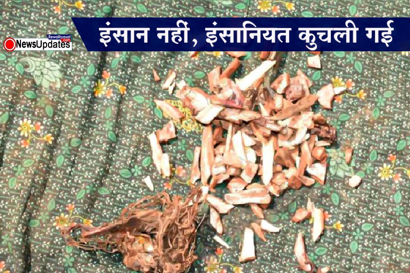 रीवा में इंसानियत शर्मसार! बेटी से मिलने जा रहे वृद्ध को दो दिनों तक रौंदते हुए निकलती रहीं गाड़ियां, सिर्फ टूटी-फूटी हड्डियां मिलीं रीवा में इंसानियत शर्मसार! बेटी से मिलने जा रहे वृद्ध को दो दिनों तक रौंदते हुए निकलती रहीं गाड़ियां, सिर्फ टूटी-फूटी हड्डियां मिलीं