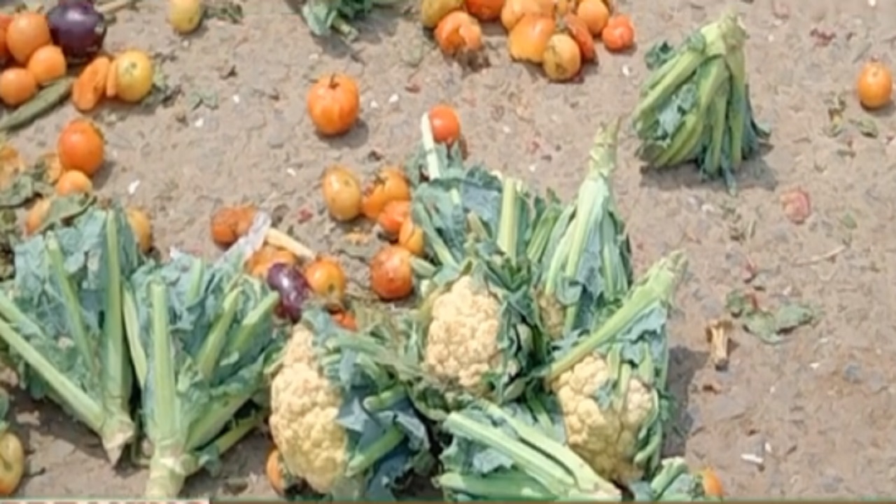REWA : कोरोना कर्फ्यू : सड़कों में महंगी सब्जियां फेंकने को मजबूर हुए व्यापारी